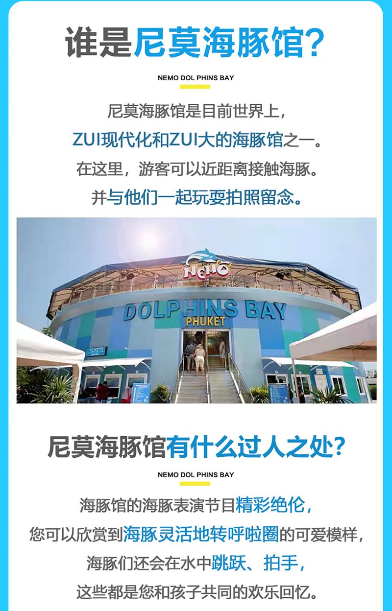海豚表演实景 2