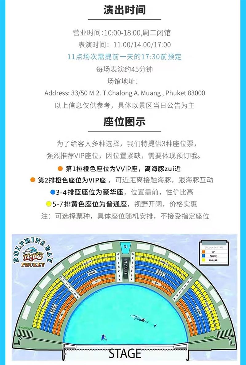海豚表演实景 4
