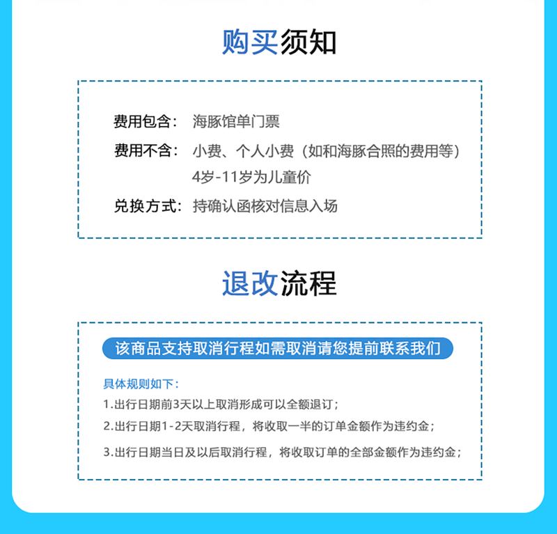 海豚表演实景 5